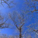 상원사주차장 화장실 이미지