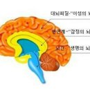 카페칼럼 이미지