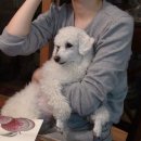 안생약국 이미지