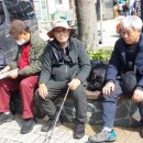 횡성한우리벌꿀