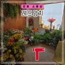 강릉 감성 소품샵 추천 [레드망치본점, 2호점] 후기