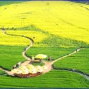 해:담음 해물칼국수 이미지