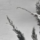 데굴데굴 이미지