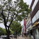 시행착오 | 족저근막염 (근족막염) 증상 치료방법 시행착오 후기