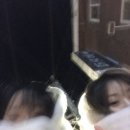 이얼싼 이미지