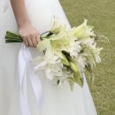 핑크 스파이더 | [W5. 제주스냅] 제주 웨딩스냅 생화 부케 제작 후기, 제주모니카네생화직판장, 제이제이에프 (내돈내산)