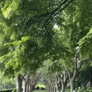 공서농장 | 프랑스 액상프로방스 숙소 ‘la feraude’ / 고흐드 숙소, 프로방스 여행기, 프로방스 숙소 추천