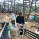 두리네이쳐 이미지