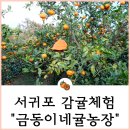 금동농장 이미지