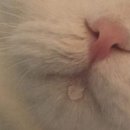 미츠가 이미지