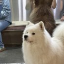 겨울이 머무는 집 이미지