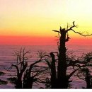 아프리카 당구장 이미지