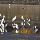 하천(갑천3) 이미지