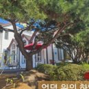 The 산수유 이미지