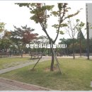 오산시청 이미지