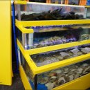 브라더존스 이미지