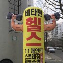 비타민휘트니스북