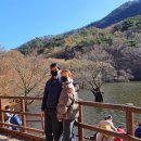 주왕산 한우농장 | 경북 청송 여행 #02: 주산지/소노벨청송플레이그라운드/청하누