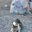 별빛좋은민박 이미지