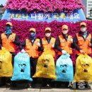 공공용 31 이미지