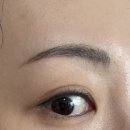 힙브로우 | 눈썹 그리는 시간 줄이자 립브로우 펜슬 다크브라운 내돈내산 후기