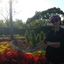 경인아인스 이미지