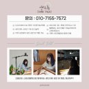 [샌드아트] 대전 삼성 교회 기독교 샌드아트 공연