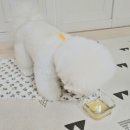 가마솥황태 이미지