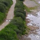 아름다운 숲길 화장실 이미지