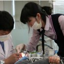 하하하치과의원 이미지