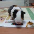 신월동016 이미지