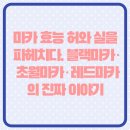 허약국 | 마카 효능 허와 실을 파헤치다. 블랙마카·초월마카·레드마카의 진짜 이야기