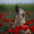두찜 부산덕천점 | 부산 북구 두찜 부산덕천점, 후기, 연락처, 주차