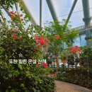 화수로61번길 15 | 포항 힐링 온실 산책! 환호공원식물원