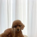 컴피 화명점 이미지