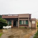 오늘도제주1 이미지