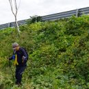 무학봉.무학산. 너븐등산(553m). 앞산시루봉. 웃땀봉.곽당재산. 응봉.함박뒷산. 공동산(312m). 함박산(228m)/경북 청도 이미지