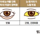 색깔 이미지