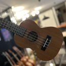 맑은 선율, 우쿨렐레 이미지