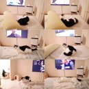 행복하게 달리는 집사 | 블챌: 월간일기 9월_ 스타벅스 투명 우산, 박승광 해물 칼국수, AI 자동 댓글-_-