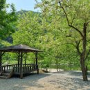 마루펜션 캠핑장 이미지