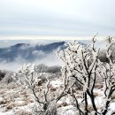 소백산주유소 이미지