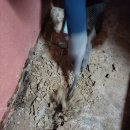 아주여관 이미지