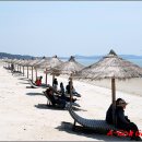 신안(여) 이미지