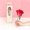 케이스튜디오 이미지