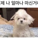 한국폴리텍대학충주캠퍼스 이미지