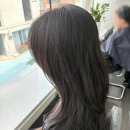 합정미용실 샵꽁뜨 지민쌤, 애쉬브라운 염색 후기