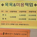 강아지트 | 경산 24시 강아지 위탁/셀프목욕, 미용 [강아지트]
