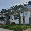 목인박물관 목석원 Daum카페