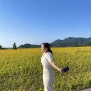 무한을 보고싶다.